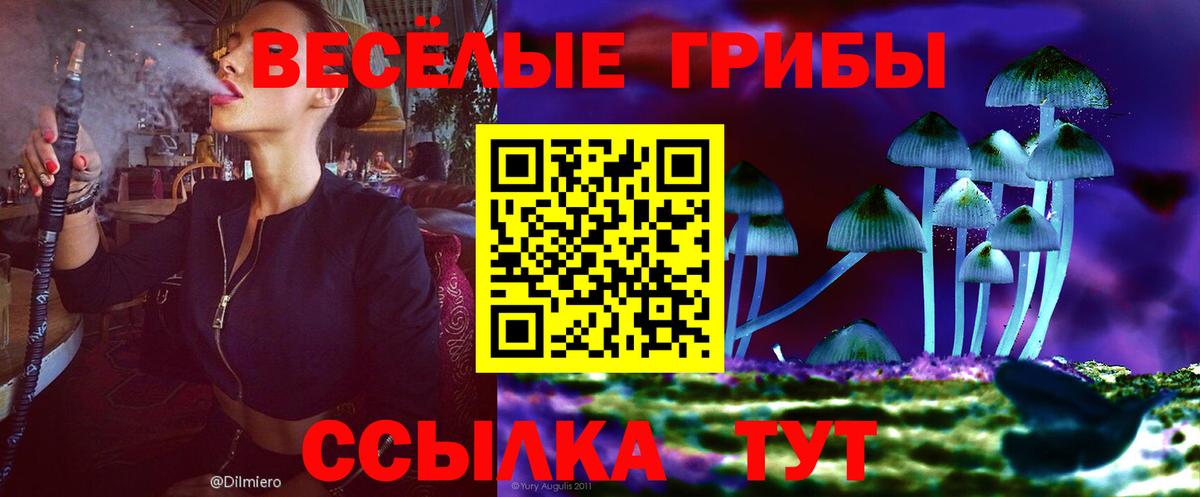 Псилоцибиновые грибы Cubensis  Вход с VPN  Нижневартовск 